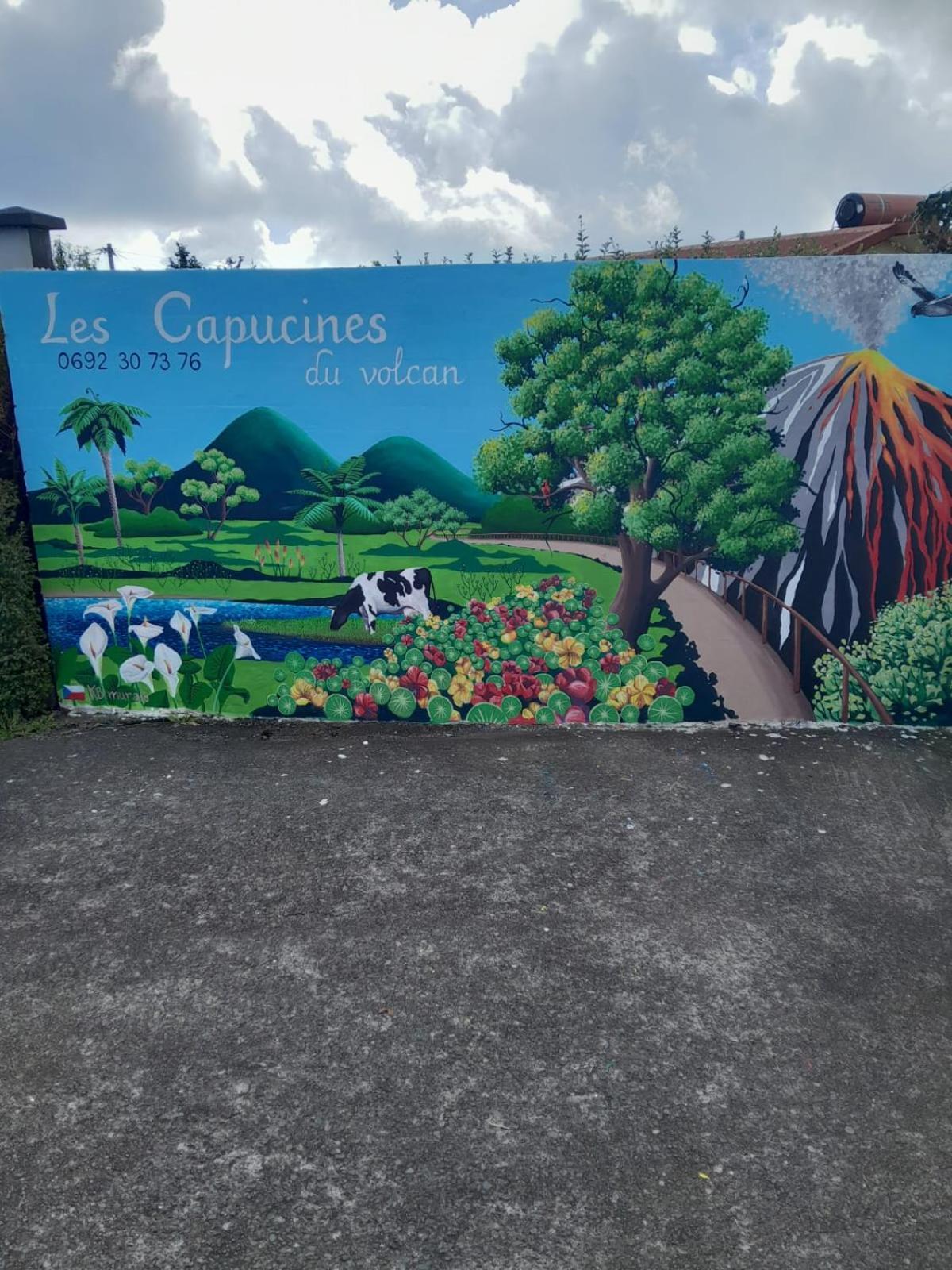 Chambre Cosy Aux Capucines Du Volcan La Plaine Des Cafres Le Tampon Exterior foto